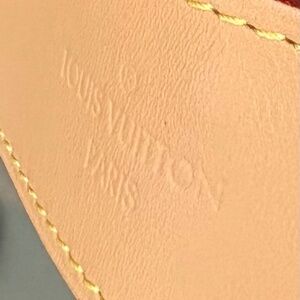 Genuine Louis Vutton